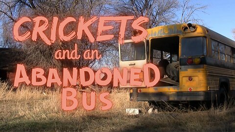 Crickets and an Abandoned Bus | 15 Minutes of Twilight | Ambient Sound | What Else Is There?