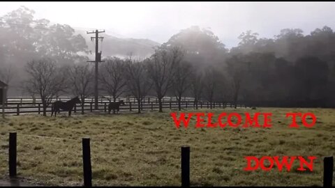 Morning visit with the horses. Noisy trail bikes cause herd to move up near other horses for safety