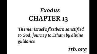 Exodus Chapter 13 (Bible Study)