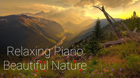 Relaxing Piano Music | Relief & Chill | Stop Anxiety, Insomnia And Overthinking