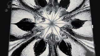 Must See Black and White Flower Acrylic Pour Painting! Started with one idea, finished with another!