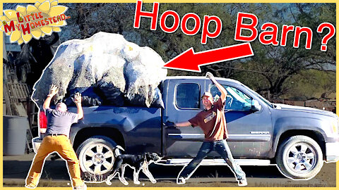 Hoop Barn Gone‼️ Shop Plans 🧱 | Weekly Peek Ep337