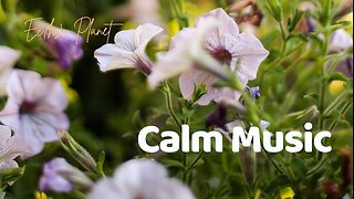 Find Inner Peace with 1 Hour of Calm Music for Stress Relief: Flowers Therapy Music