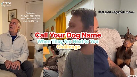 Call Your Dog Name When They Are Next to You Challenge Compilation