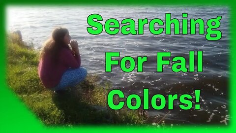 Searching For Wisconsin Fall Colors-Pass or Fail? | Small Family Adventures