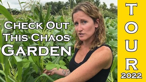We Built an EPIC CHAOS GARDEN and the Results are CRAZY!