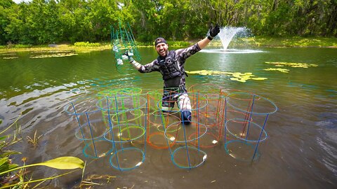 Installing Mega Pond Structure to SAVE Pet Fish!! (aquatic tractor)