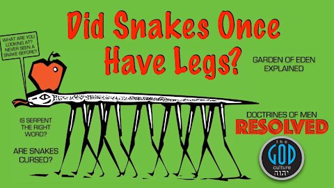 Did Snakes Once Have Legs? Doctrines Of Men Resolved