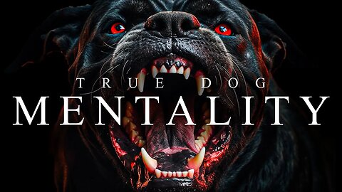 TRUE DOG MENTALITY - Best Motivational Video Speeches Compilation