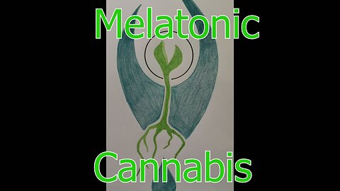 Melatonic Cannabis In-depth Information