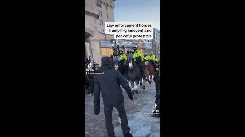Oh Canada - horse trample