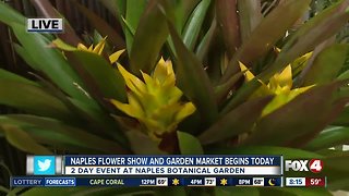 Naples Botanical Garden holds flower show and garden market Friday and Saturday