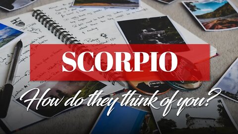 Scorpio♏A past love wants to apologize, but will they make the effort? They think of you & love you!