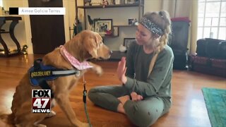 Healing Virtually: Therapy Dog and Owner Adapt to Pandemic