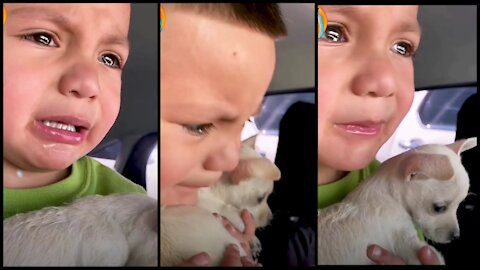 BOY CRIES OVER PUP'S VACCINATION