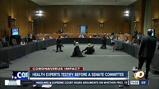 Health experts testify before a senate committee