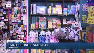 Small Biz Saturday Wyandotte