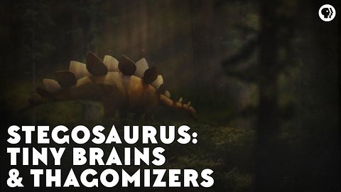 Stegosaurs: Tiny Brains & Thagomizers
