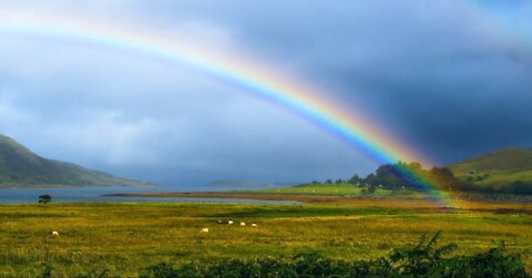 Amazing Rainbow