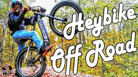This $1,500 E-Bike is NOT What I Expected! | Heybike Brawn Off Road Review