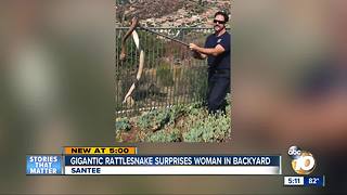 Gigantic rattlesnake surprises woman in Santee backyard