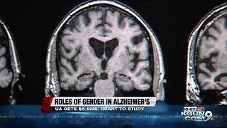 Arizona researcher awarded grant for Alzheimer’s research