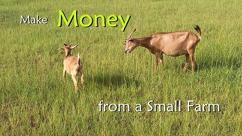 How to Make Money from a Small Farm