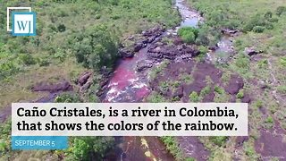 Caño Cristales is the Most Colorful River in the World