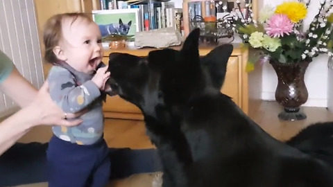 Baby And Doggy Make A Sweet Dynamic Duo
