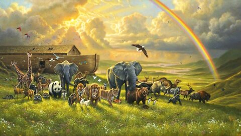 (August 2019) Noah’s Ark and the Flood - Dr. Georgia Purdom