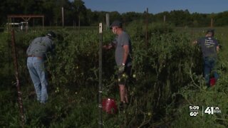 After the Harvest brings fresh produce to KC family tables