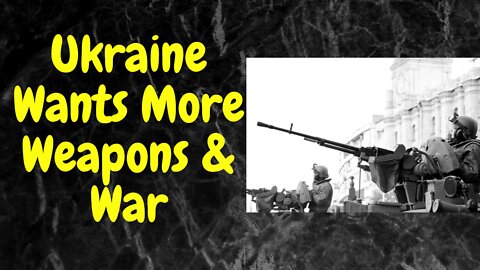 Ukraine - More Weapons - More War. My Opinion.