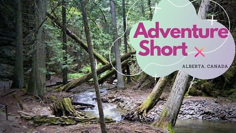 Alberta Adventurer Family! | #Shorts