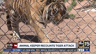 Arizona animal keeper recounts tiger attack