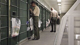 DOJ Report: Jail Population Plummeted Amid Pandemic