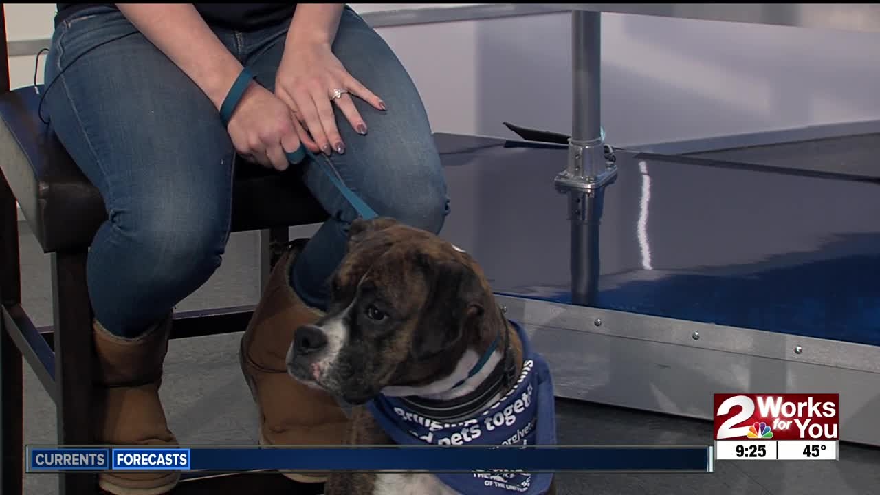 Pet of the Week: Roxy