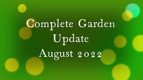 Garden Update August 2022