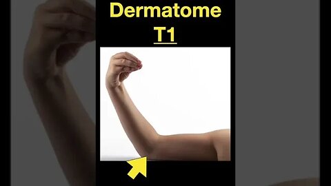 Testing Dermatomes, Myotomes and DTRs #shorts (Part A)
