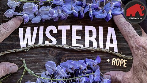 The Beautiful and Deadly Wisteria - An Amazing Plant!
