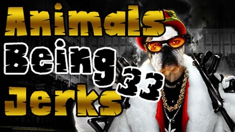 Animals Being Jerks #33