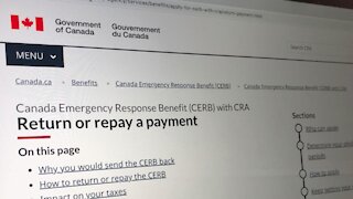 Canadians Have Now Made Over 830,000 CERB & CESB Repayments To The CRA