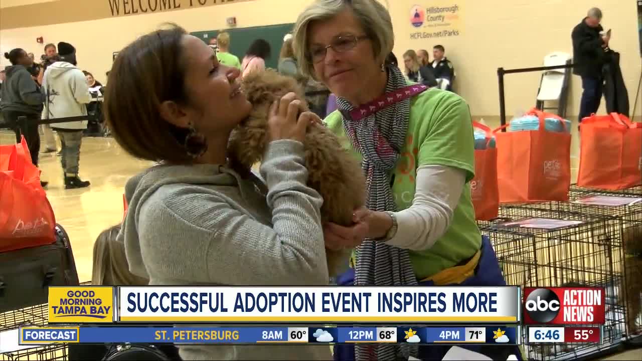 Successful adoption event in Hillsborough County inspires hope for more