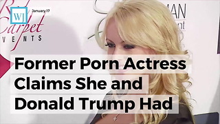 Former Porn Actress Claims She And Donald Trump Had Sex A Year After He Married Melania