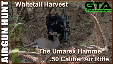 GTA AIRGUN HUNT – AA’s Umarex Hammer Harvests its First White Tail Deer