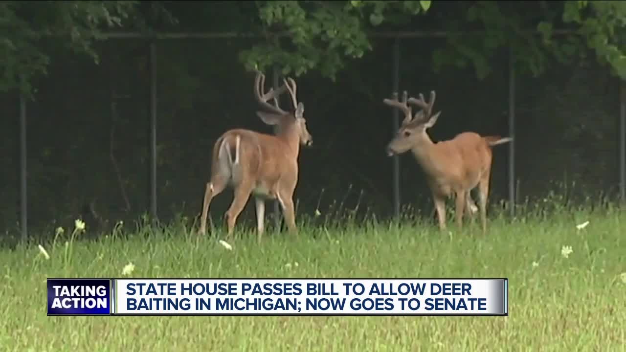 Michigan House approves bill to lift ban on deer baiting, legislation will now head to Senate
