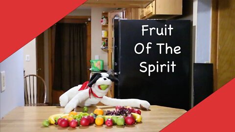 Fruit of the Spirit with Pablo