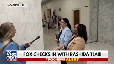 Rashida Tlaib MELTSDOWN Over Fox News Question