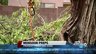 Monsoon: Time to prep trees and cars