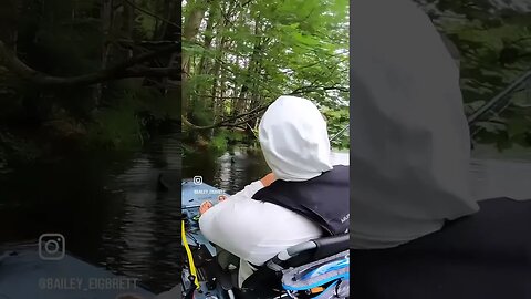 Catching a BIG Largemouth Bass Out of a TREE!!