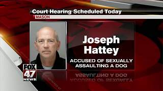 Court hearing for Hattey today